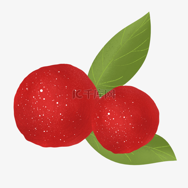 红色鲜艳圆形夏季水果杨梅