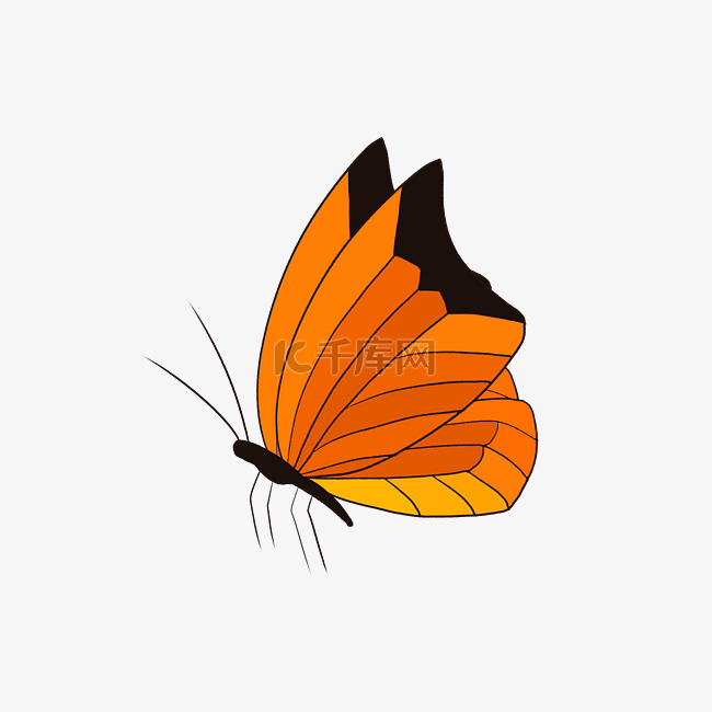 黄色飞行的蝴蝶插图