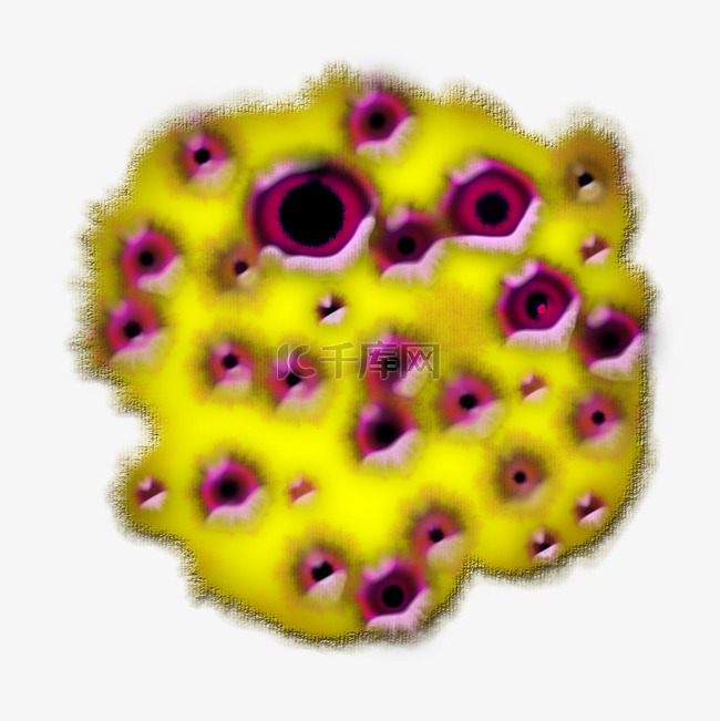 黄色细菌 