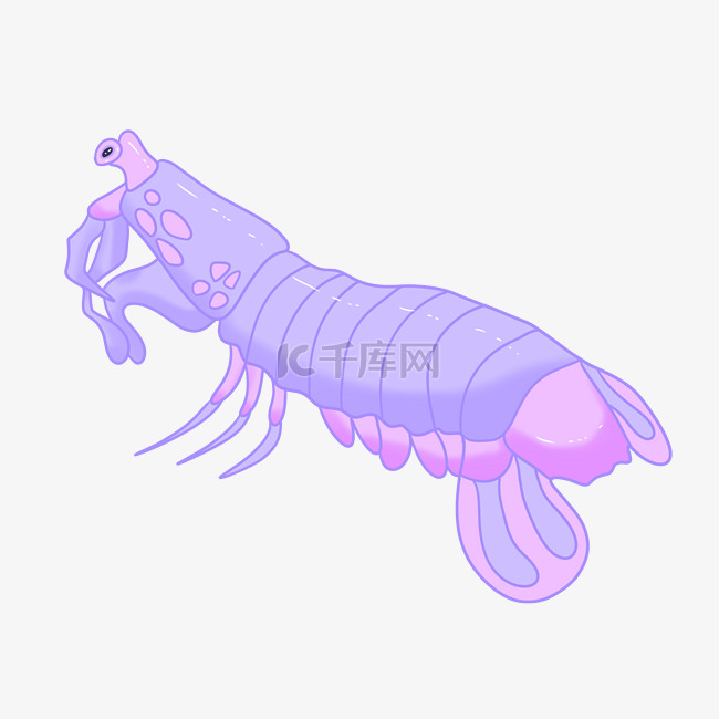 紫色皮皮虾装饰