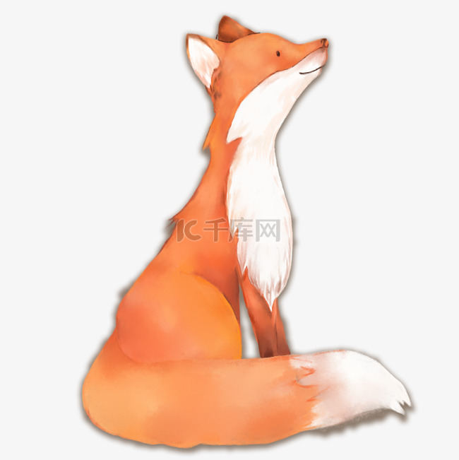 一只坐着的狐狸