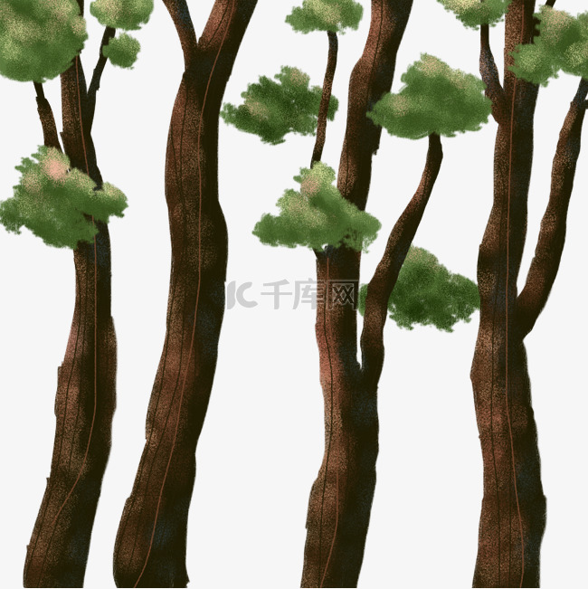 树林树木