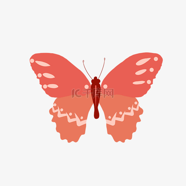 红色蝴蝶动物插画