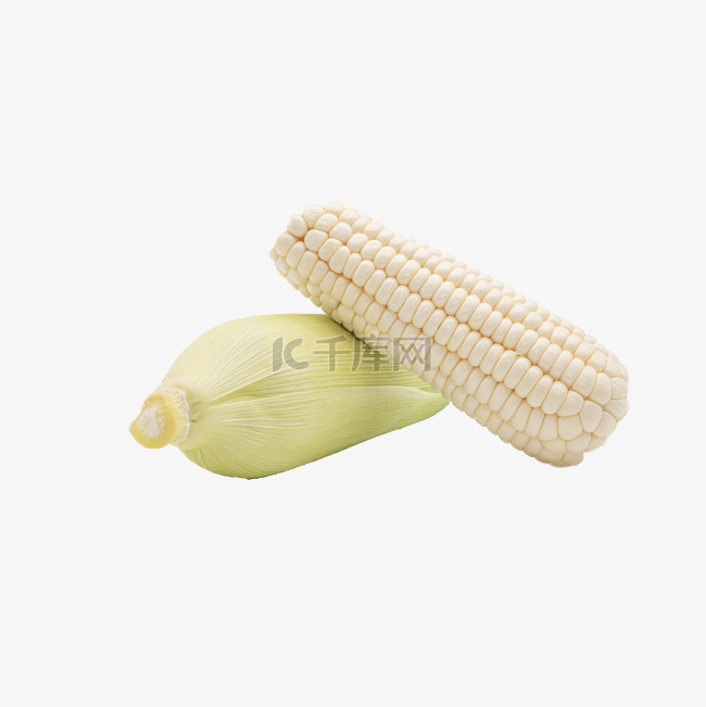 秋季农作物玉米
