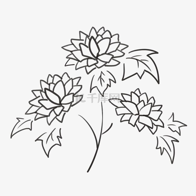 花朵植物纹身插图