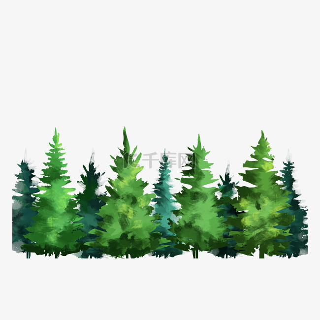 树林森林