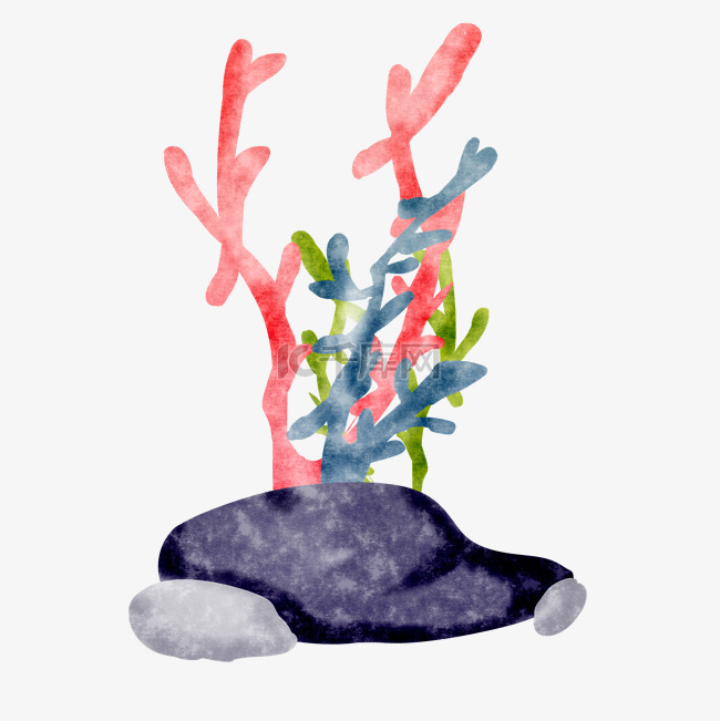 珊瑚植物海洋生物