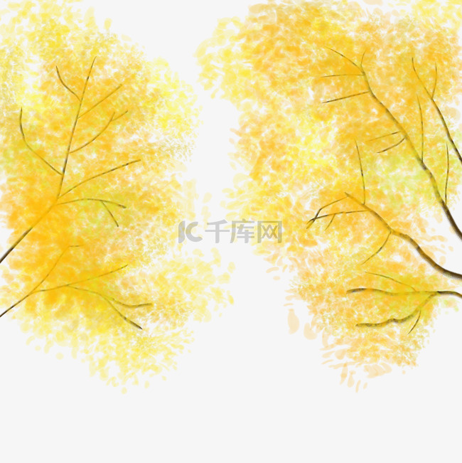 立秋植物金黄树叶