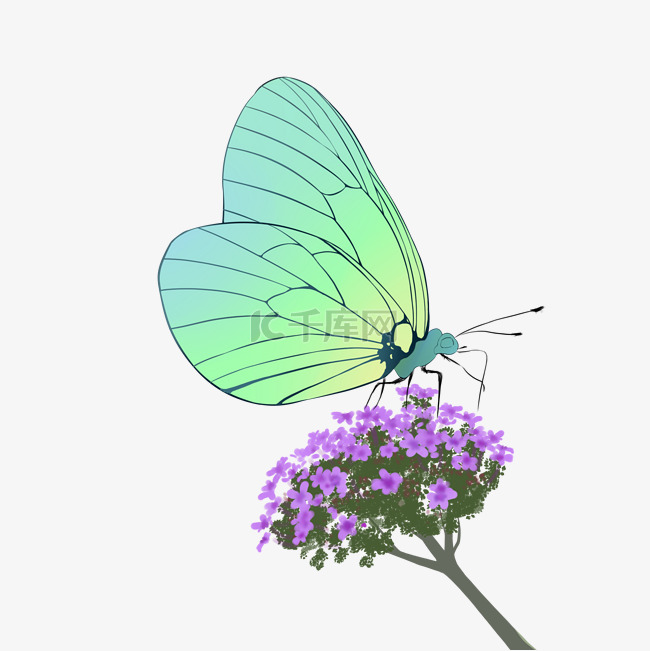 绿色蝴蝶花朵插画