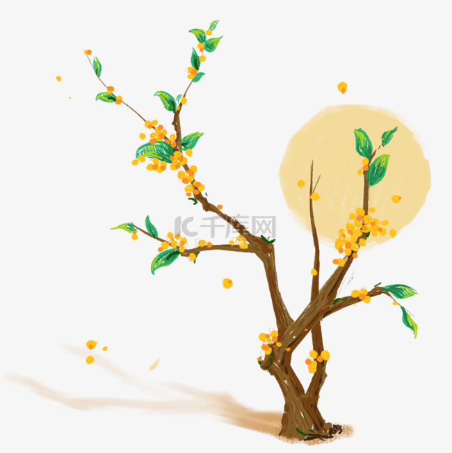 黄色桂花树枝