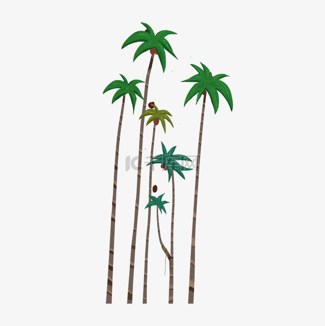 沙滩热带植物
