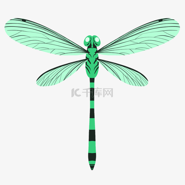 美丽绿色蜻蜓插画