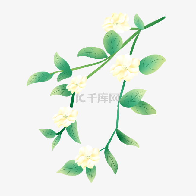 手绘茉莉花免抠元素