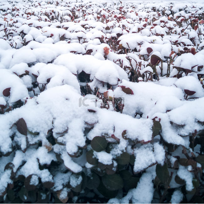 雪景实拍png