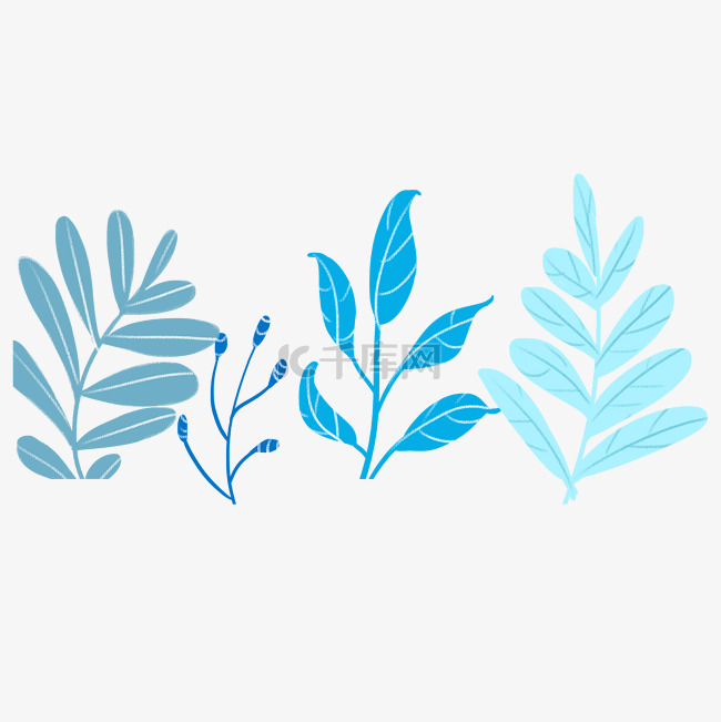 蓝色植物叶子插画