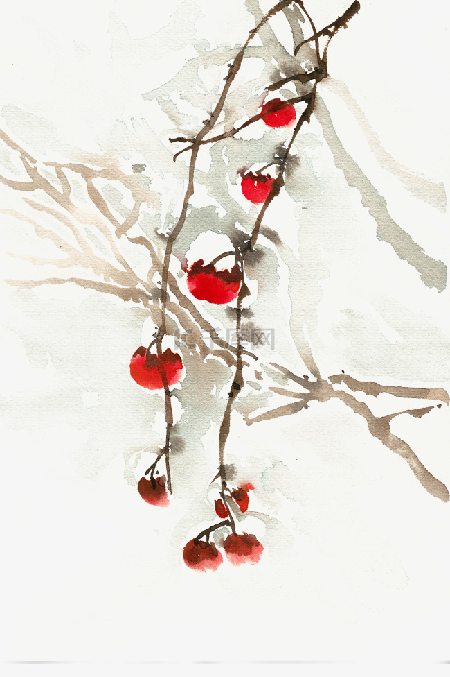 水彩画挂满霜雪的红果