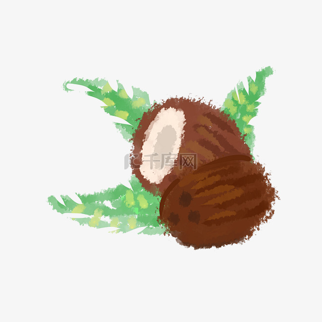 棕色的椰子