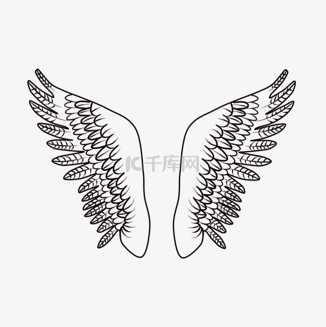手绘线性简约线条装饰翅膀
