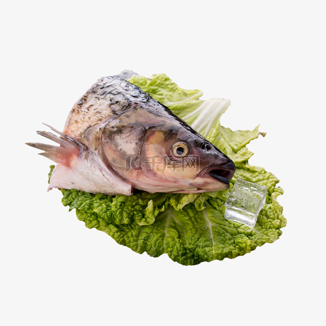 生菜叶上的一个新鲜生鱼头
