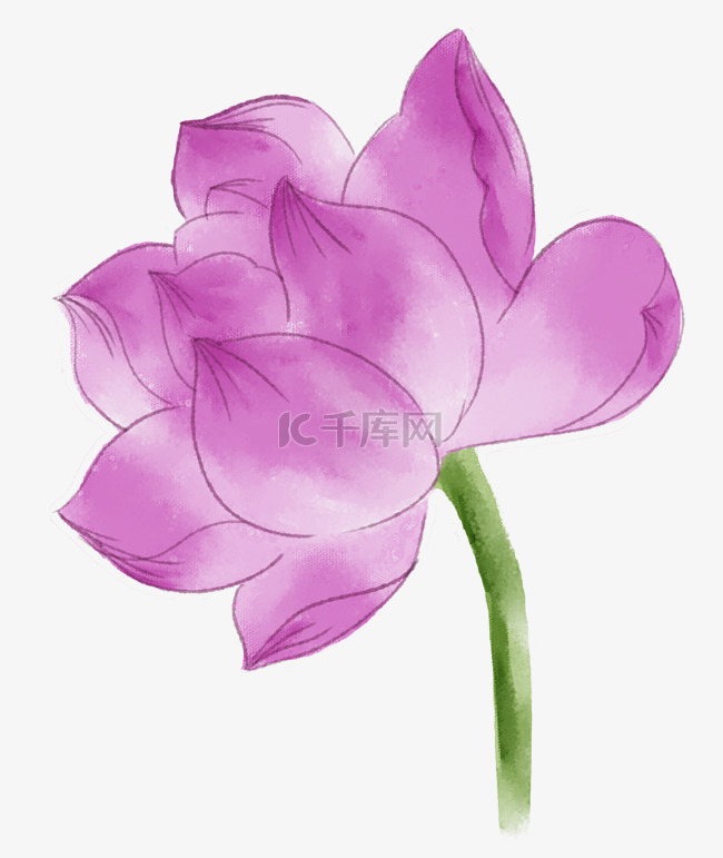 紫色的鲜花装饰插画