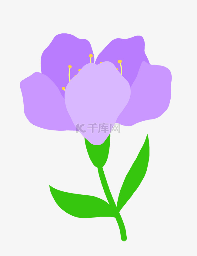 绿色叶子花枝紫色花朵