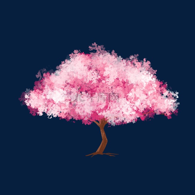 春天春季粉色樱花树