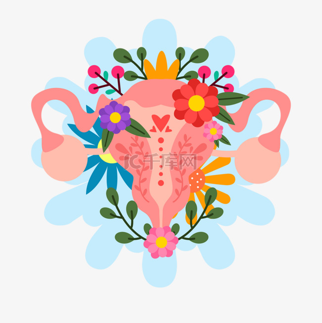 手绘设计花朵花卉女性生殖系统花