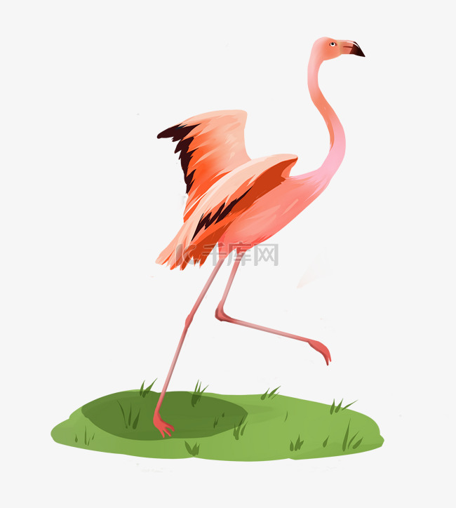 粉红动物火烈鸟夏季时尚元素免抠