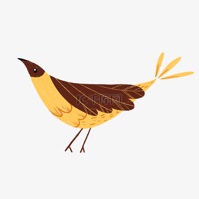 动物小鸟装饰PNG
