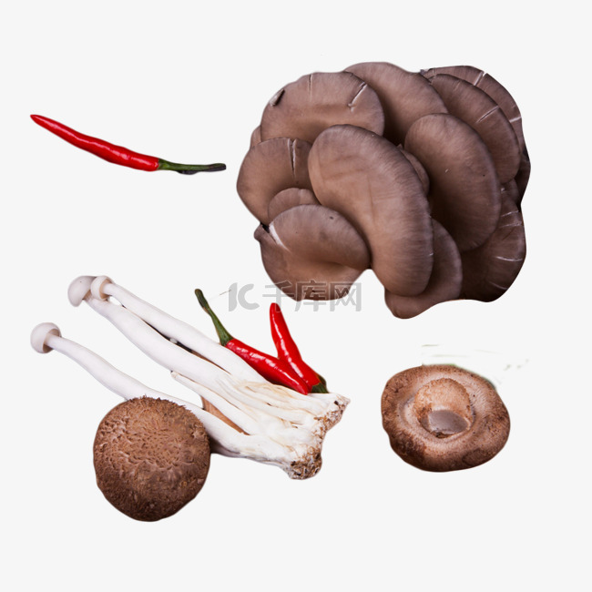 金针菇小米椒平菇香菇