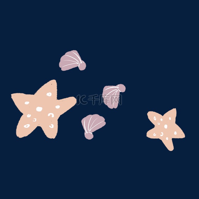 海星贝壳图案