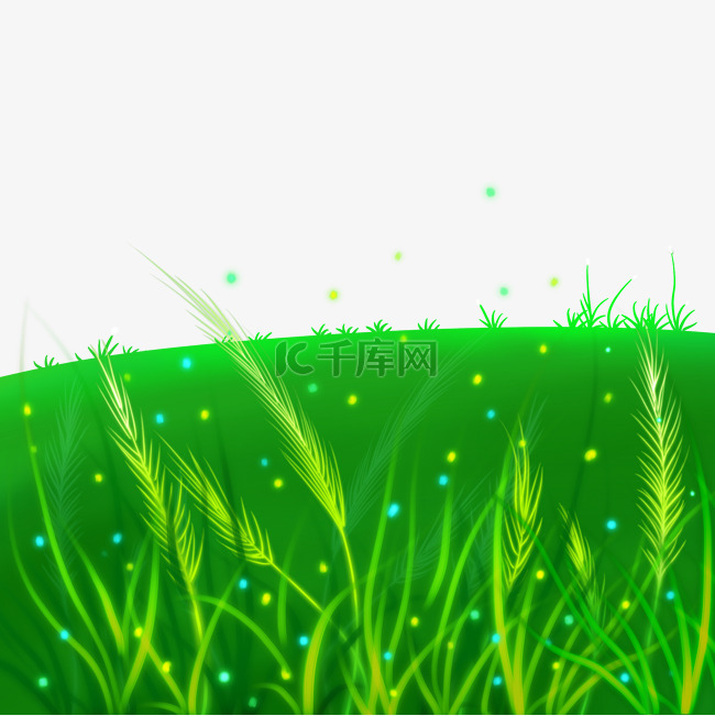 草地绿色植物小草
