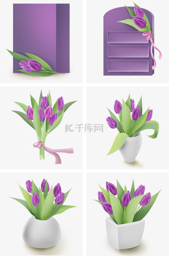 紫色郁金香盆栽和文字框