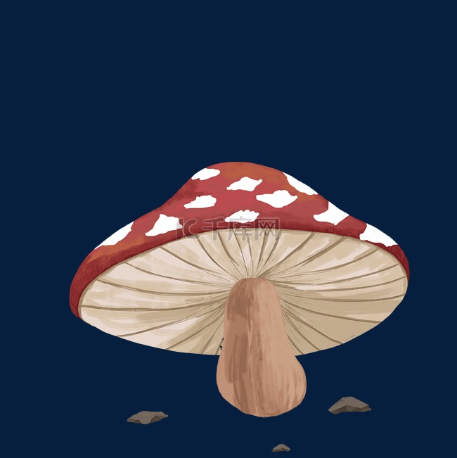 一个漂亮的大蘑菇