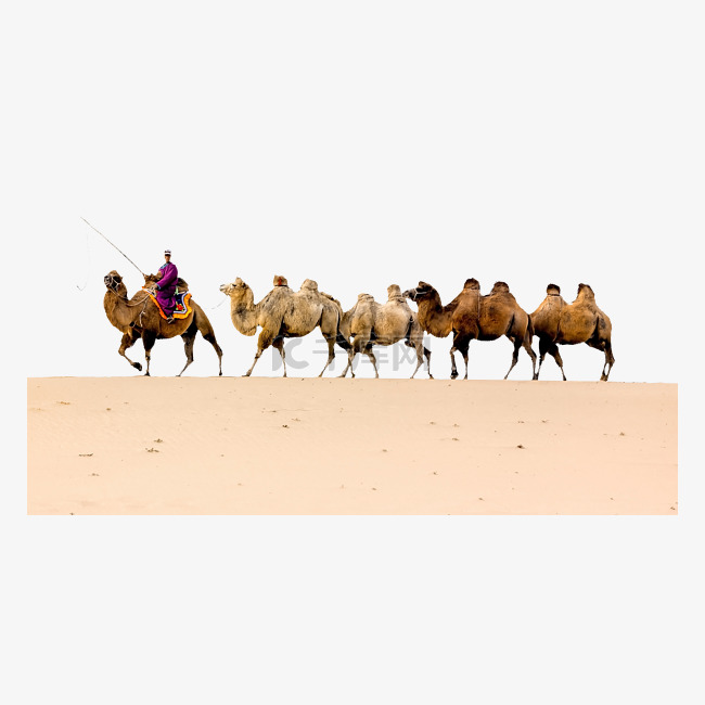 骆驼沙漠和人物