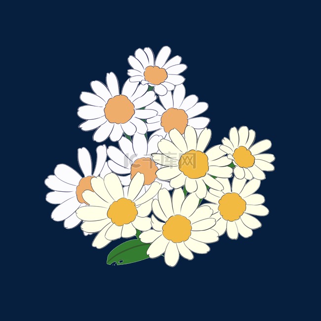 白色花朵植物插图