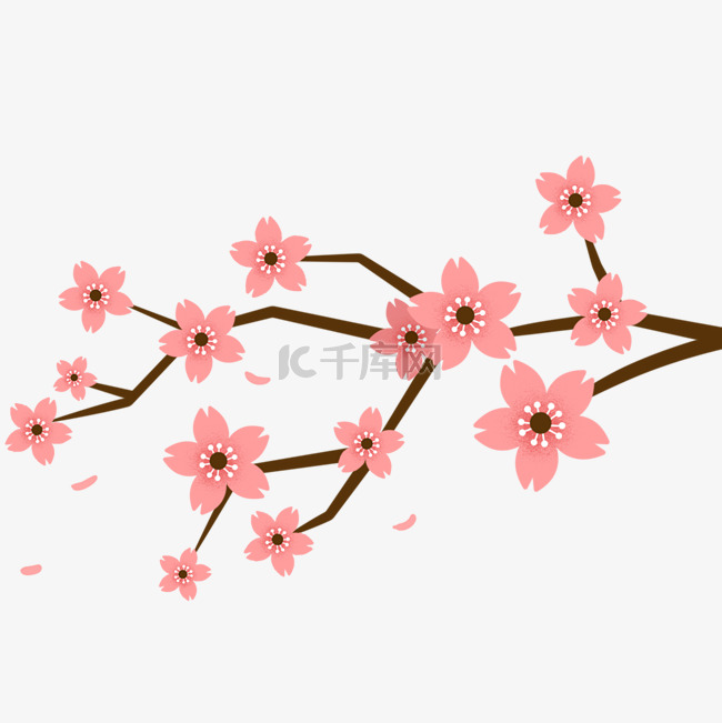 粉色梅花植物