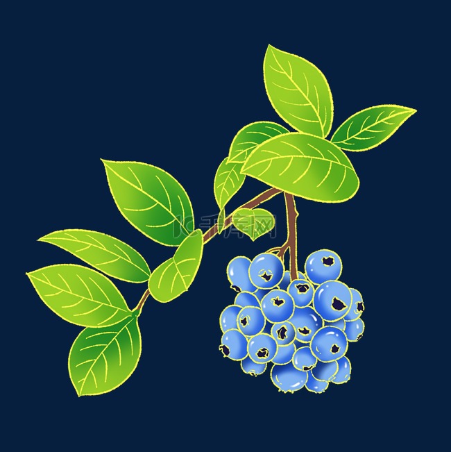 新中式国潮风水果蓝莓