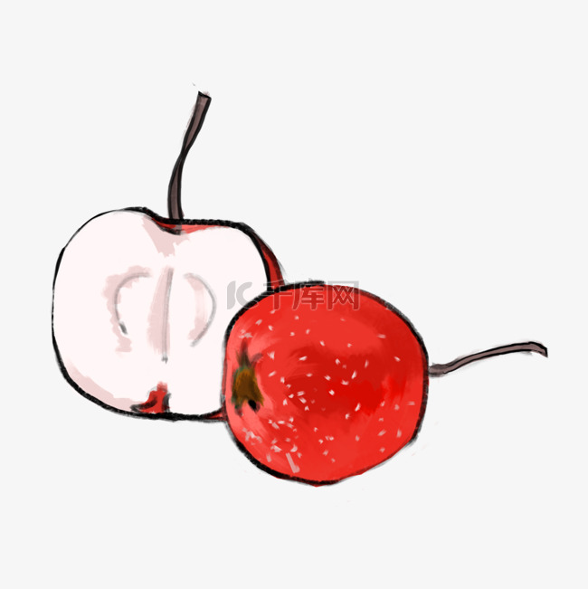 红色水果山楂插画