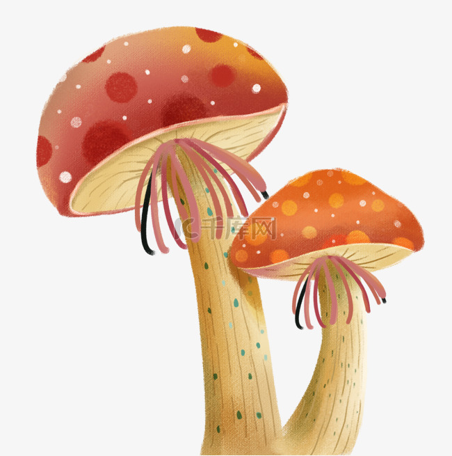 春季植物红蘑菇春天