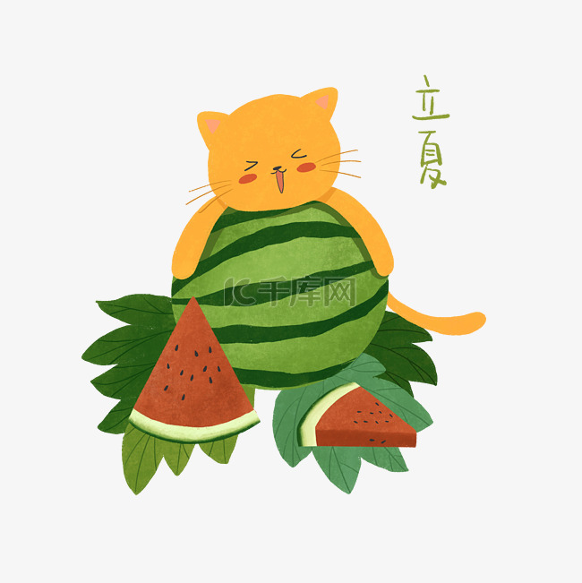 猫咪西瓜叶子