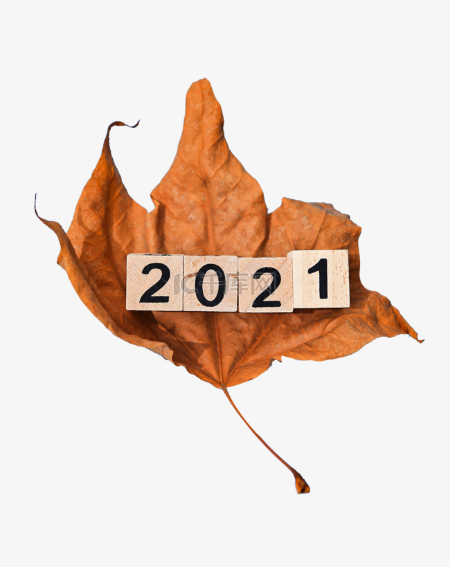 2021数字和枫叶