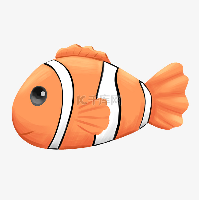 海洋动物小丑鱼