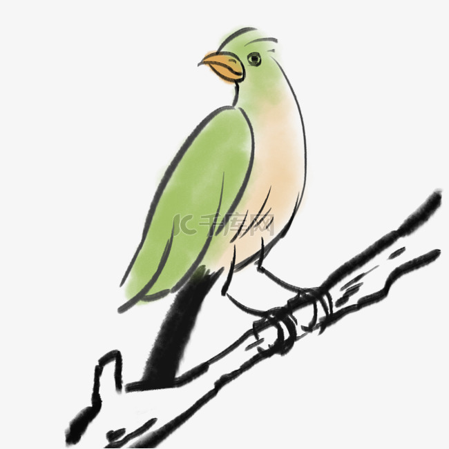 绿色小鸟动物