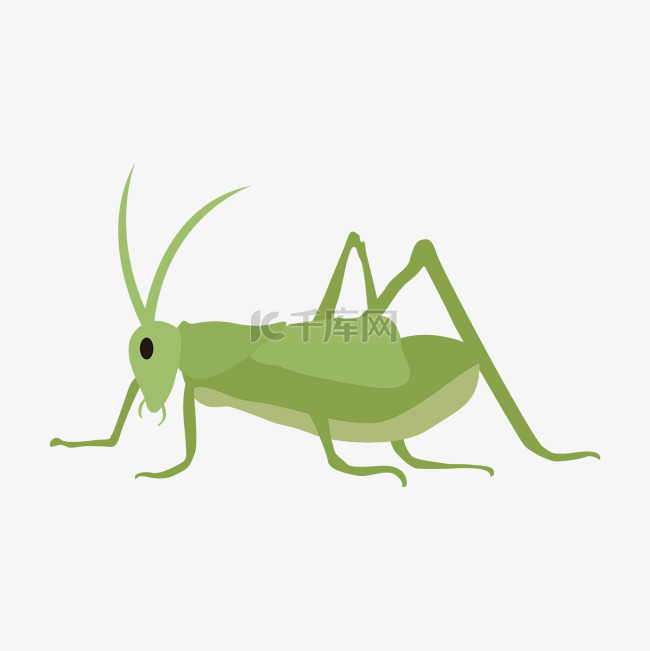 绿色昆虫蚂蚱蝈蝈
