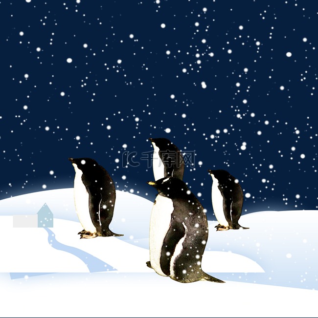 冬日雪地企鹅