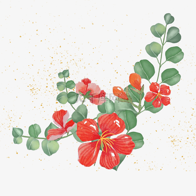 红花手绘植物可爱清新