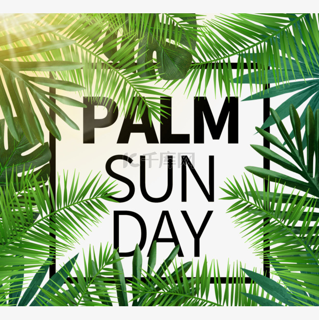棕榈星期日创意质感标签