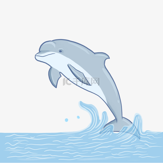 动物海豚