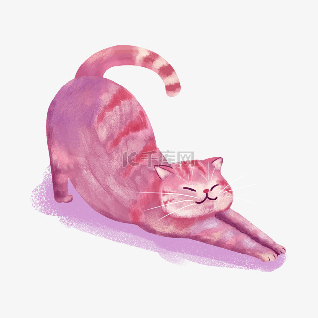 粉色伸腰的猫咪